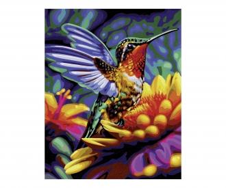 Humming-bird 40 x 50 cm - Painting by Numbers