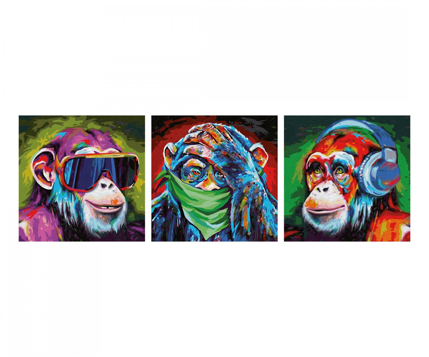 Buy The three monkeys - painting by numbers online | Schipper