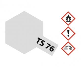TS-76 Mica Silver, spray paint, 100 ml gloss