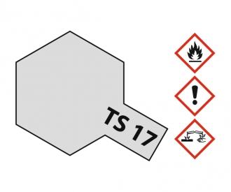 TS-17 Aluminum Silver Gloss 100ml